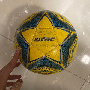 스타 풋살공