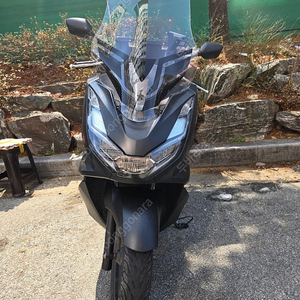pcx 125CC , 2023년식 23600키로