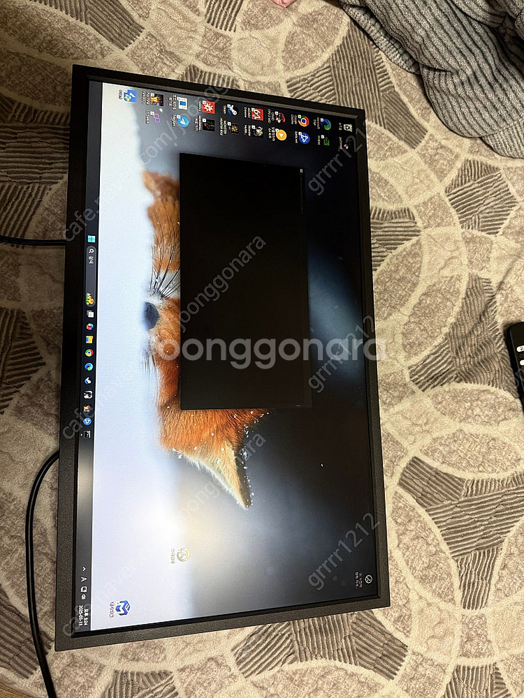 xl2546k 팝니다--5