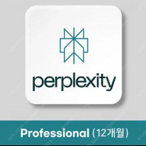 퍼플렉시티 Perplexity PRO AI 1년 무료 이용권