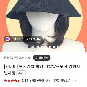 모자가발