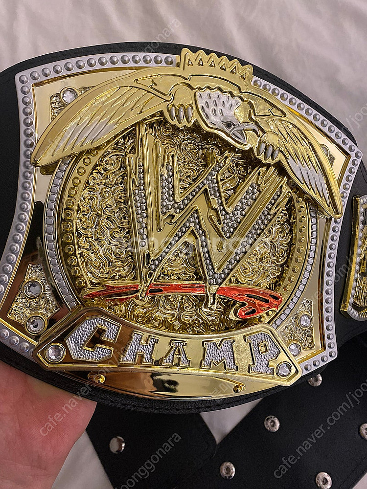 WWE 챔피언 벨트--0
