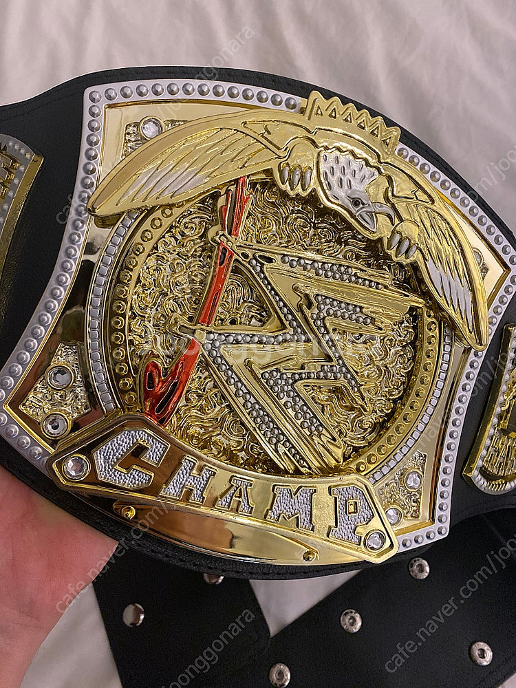 WWE 챔피언 벨트--1