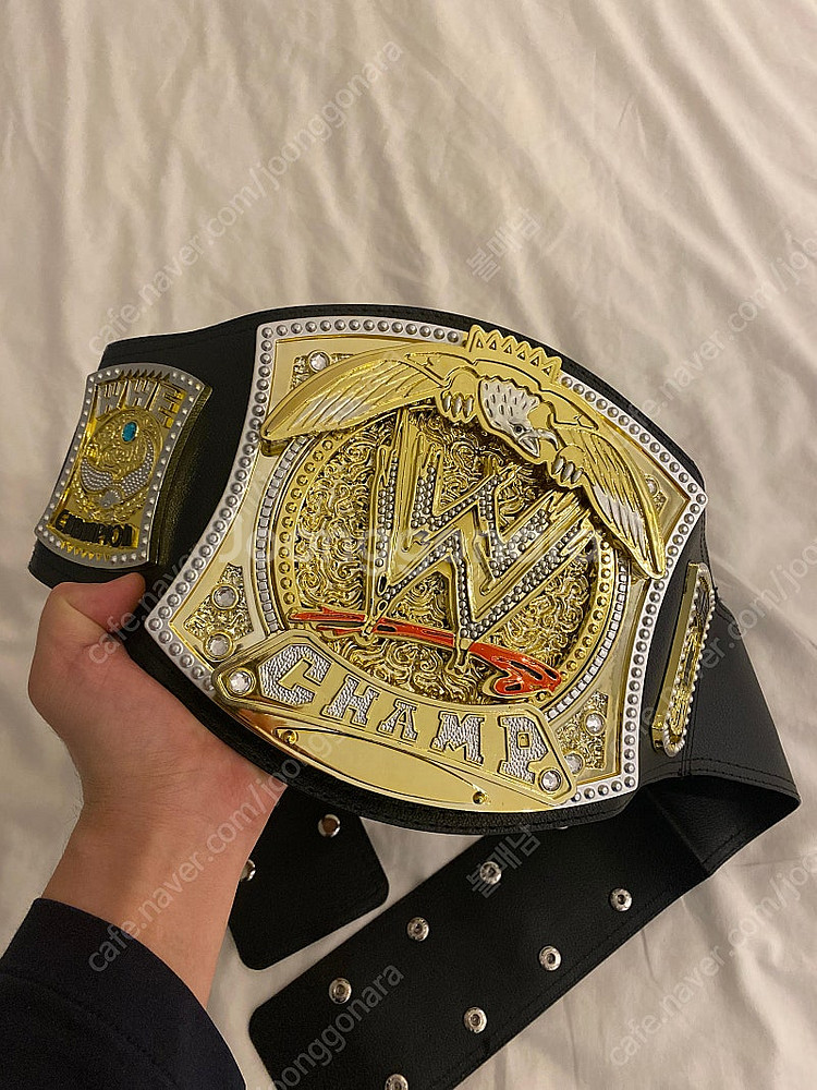WWE 챔피언 벨트--2