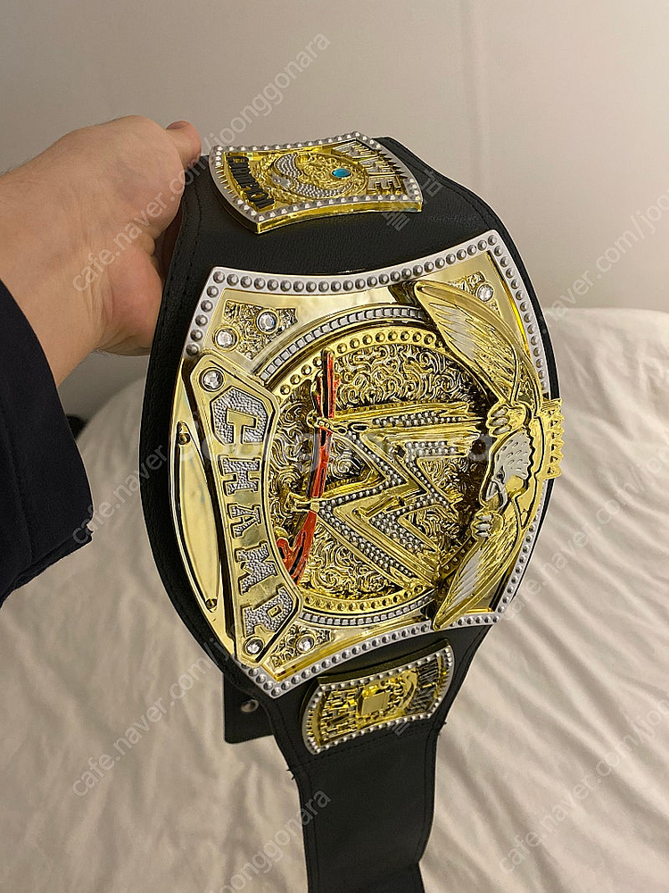 WWE 챔피언 벨트--4
