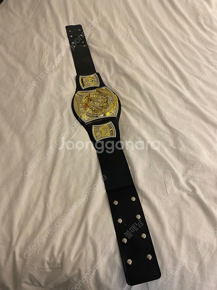 WWE 챔피언 벨트--5