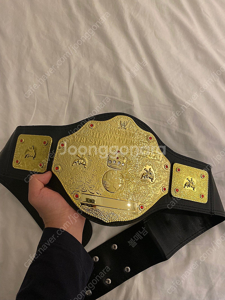 WWE 헤비웨이트 챔피언 벨트--1