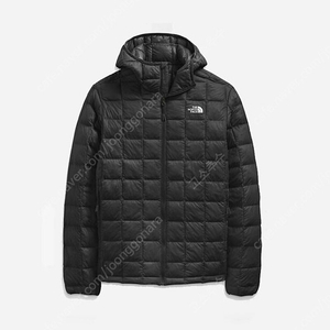 THE NORTH FACE(노스페이스) / 써모볼 후디 경량 패딩 파카 자켓