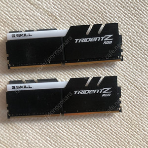 지스킬 램 ddr4 G.SKILL TridentZ RGB 33GB (16GBx2)