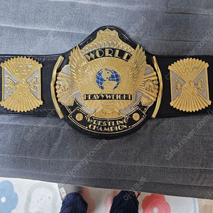 wwe wwf 윙드이글 챔피언 벨트