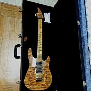 Brian Moore MC-1 Guitars Custom-Shop.-Model )( Quilted Maple-Top)