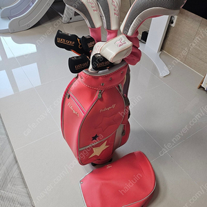 미즈노 정품 에필 여성용 골프채 풀셋+ 아디다스 골프화 235+ 장갑 풀셋으로 40만원에 팔아요.