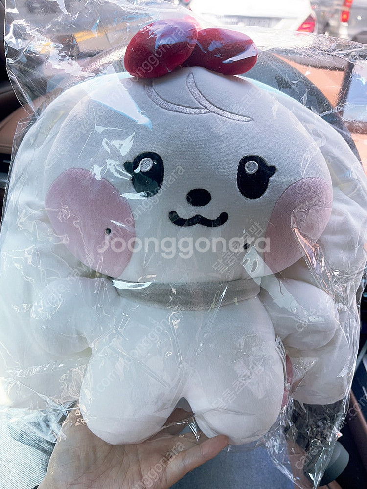 아이브 팝업 체리 강안지 플러시인형--0