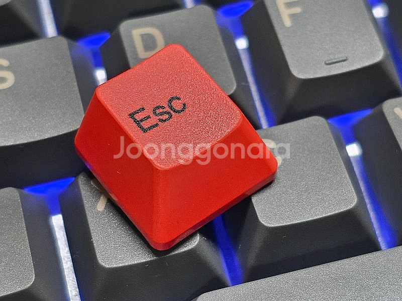 리얼포스 토프레 포인트 키캡--2