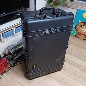 펠리칸 PELICAN 1650 케이스