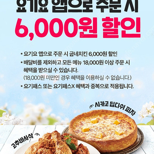 요기요x굽네치킨 6000원할인 쿠폰 1장 250원(최대4장)