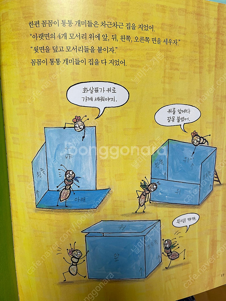 개념씨 수학나무--5