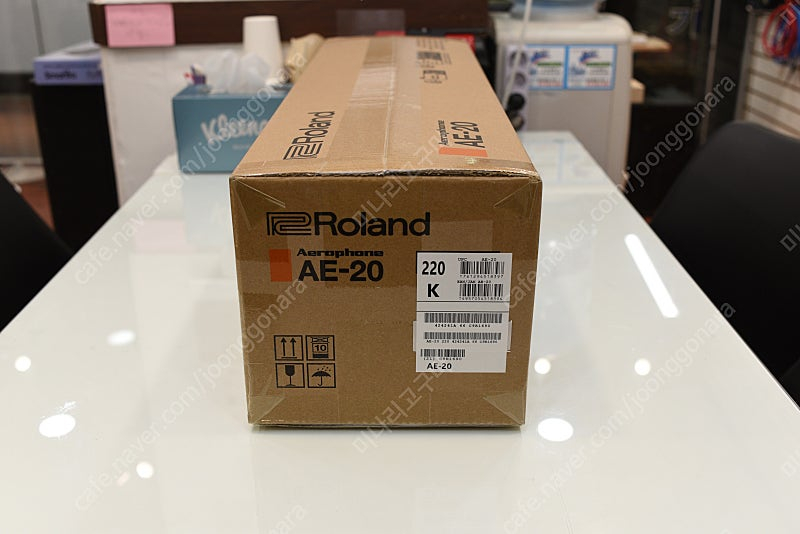 롤랜드 에어로폰 AE-20 미개봉 새상품 이미지