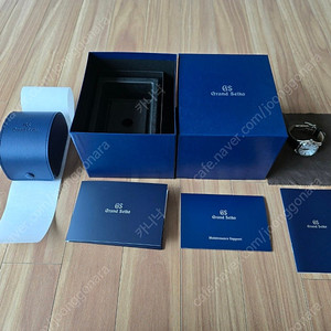 그랜드 세이코 SBGX295