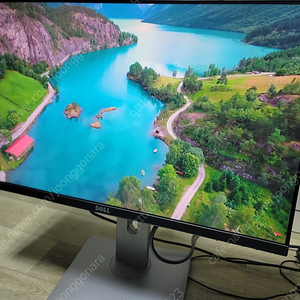 Dell 델 p2418ht 24인치 모니터 팝니다