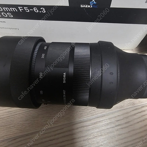 시그마 100-400 F5-6.3 DG DN OS 소니e마운트 식백사