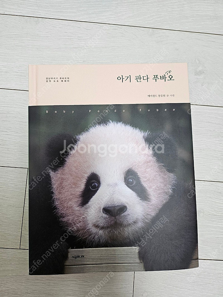 아기판다푸바오 에세이--0