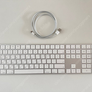 애플 매직 키보드 숫자 키패드 (Magic Keyboard with Numeric Keypad - 한국어)