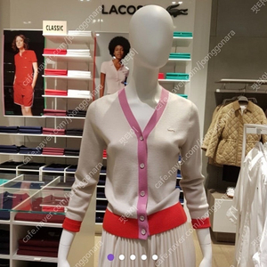 리코스테 여성 울 가디건