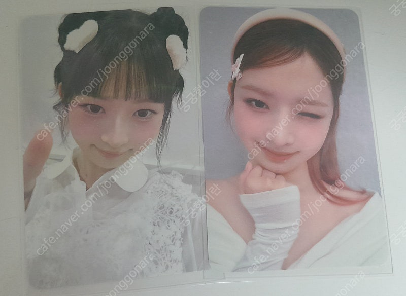 2장 일괄, 덤드림) 아이브 레이 포카
