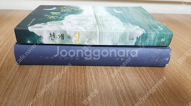 로맨스 소설 팝니다--1