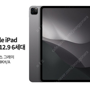 iPad Pro 12.9-inch Wi-Fi Cellular 256GB Space Gray. MP203KH/A 아이패드 프로