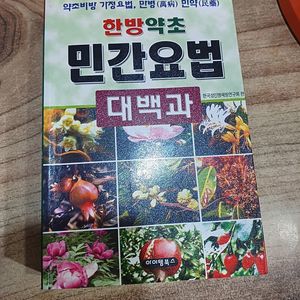 한방약초 민간요법 .대백과 .