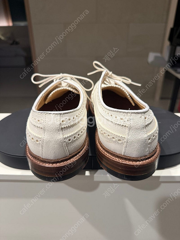 알든9901 , 알든 화이트벅 롱윙 , 파라부트 등 판...--1