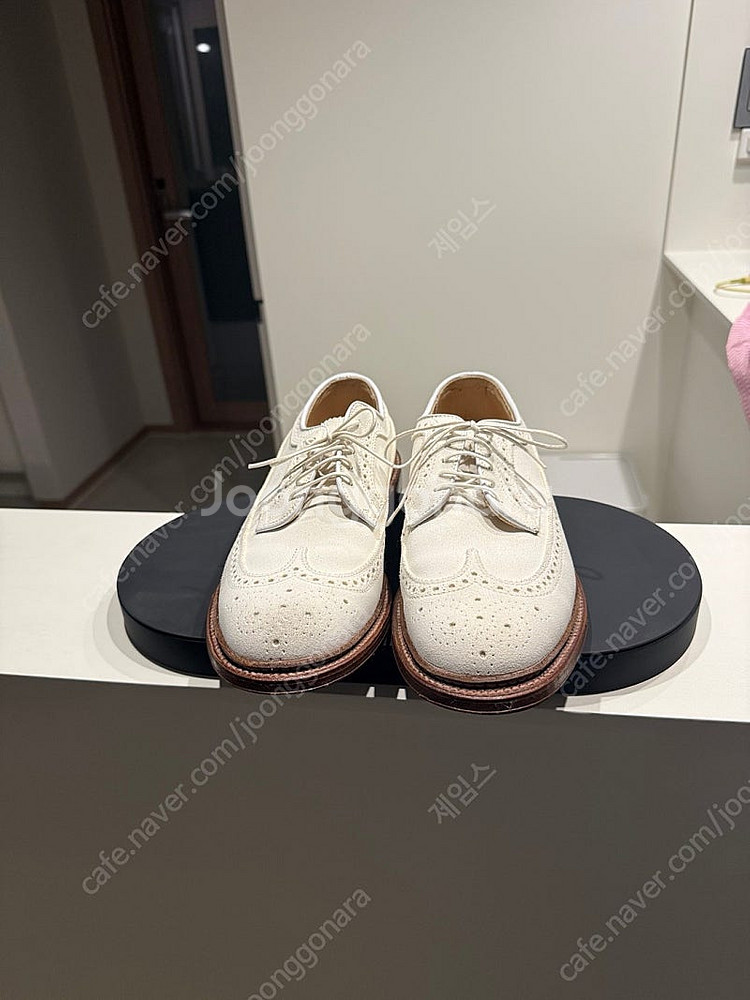 알든9901 , 알든 화이트벅 롱윙 , 파라부트 등 판...--3