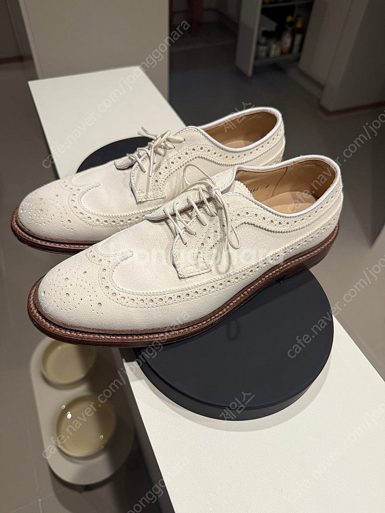 알든9901 , 알든 화이트벅 롱윙 , 파라부트 등 판...--4