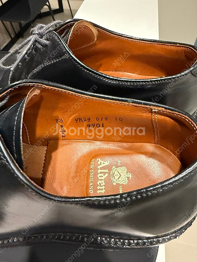알든9901 , 알든 화이트벅 롱윙 , 파라부트 등 판...--7