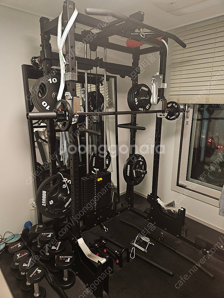 인벤탑 미니랙+랫타워, 에프몬 덤벨, 로버스트 원판 팝니다.--0