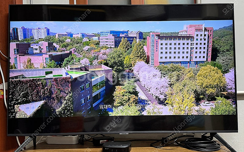 삼성50인치 TV--1