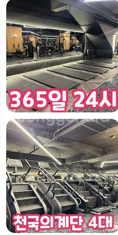 인싸짐 가좌점 헬스 회원권 쿨거시 왕창 네고!! 333...--1