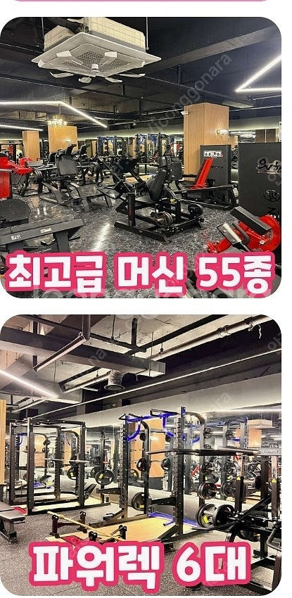 인싸짐 가좌점 헬스 회원권 쿨거시 왕창 네고!! 333...--2