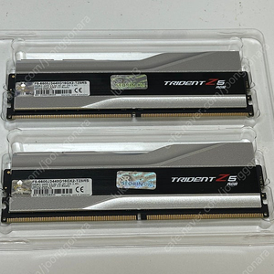 G.SKILL DDR5 6600 CL34 TRIDENT Z5 RGB 실버 패키지