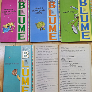 Judy Blume / Araminta Spookie / Nate the Great / Milly and Molly / Ssaeng Ssaeng / Janie Johnson / R