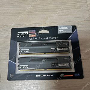 Klevv ddr5 32gb(16*2)