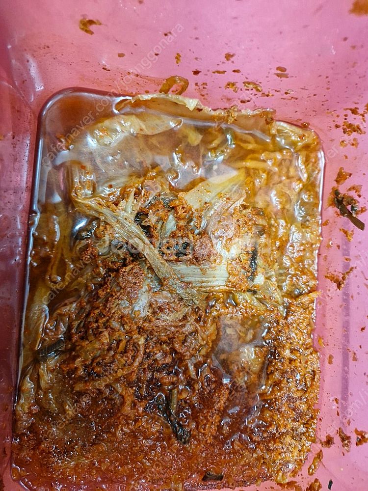 대형 냉장고와 김치 냉장고와 세탁기--5