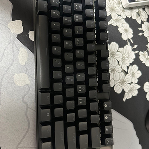 apex pro tkl gen3 게이밍 키보드