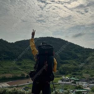 미스테리랜치 테라플레인 US 검빨 MM