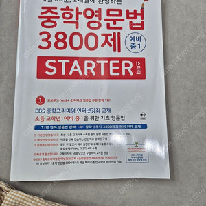 중학영문법3800 스타터