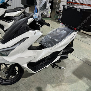 25년식 PCX125 신차 배달오토바이리스 1년인수형