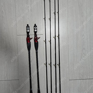 [싸다오피싱] 쭈마스터티탄 TITAN팁 쭈꾸미, 갑오징어낚시대