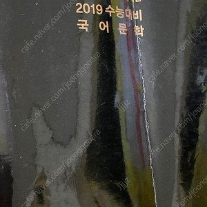 2019 마더텅 국어문학